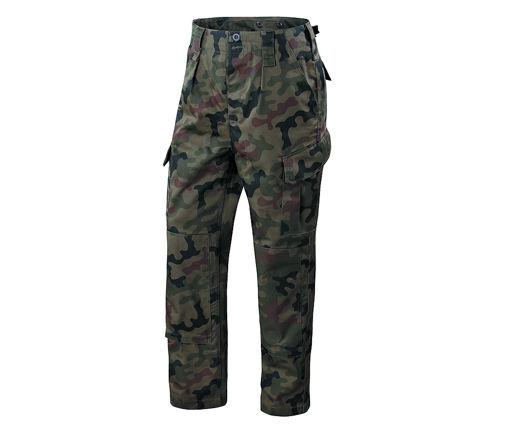 Spodnie WZ10 pl camo